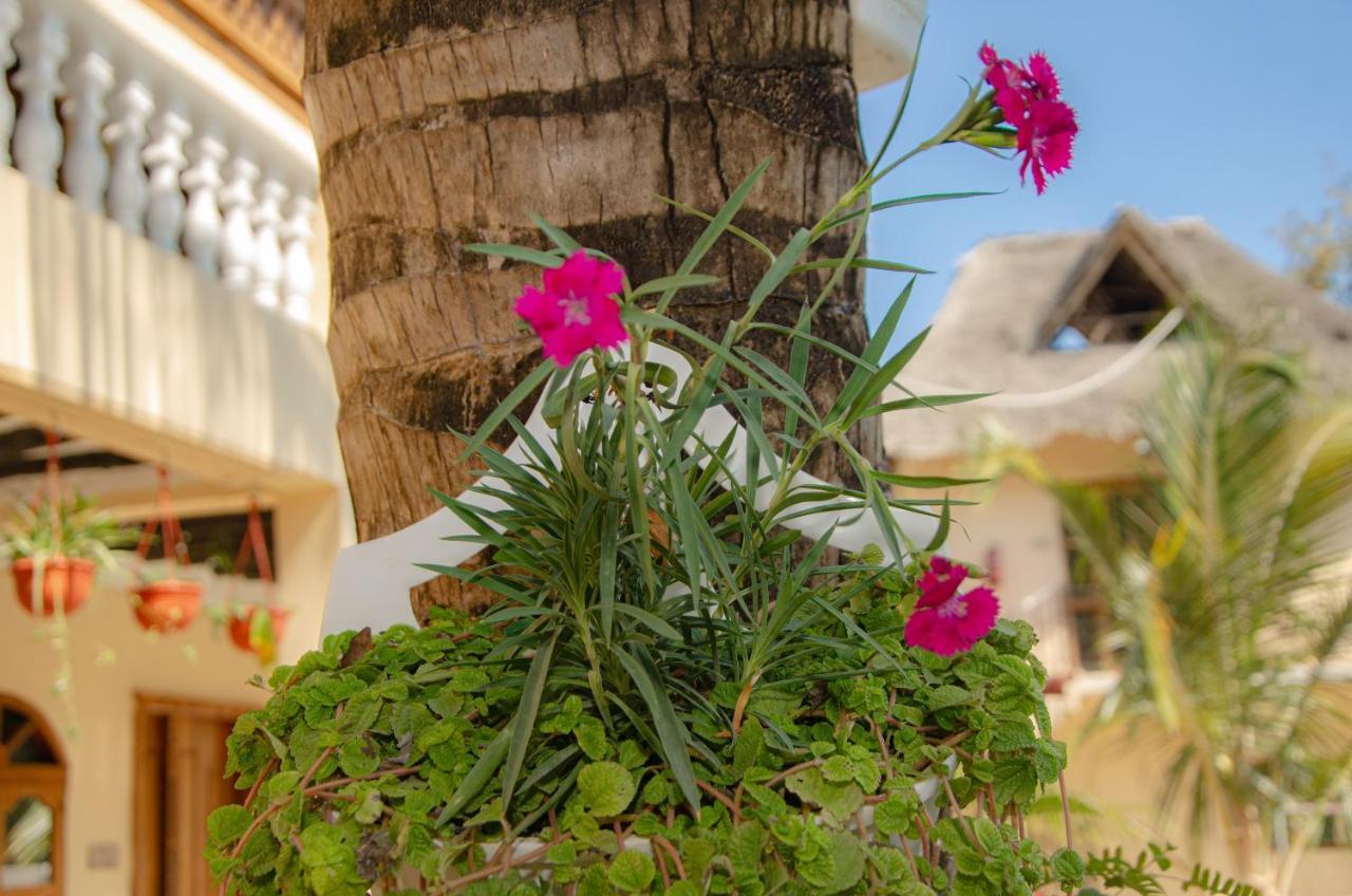 Zanpalm Boutique Hotel Michamvi Dış mekan fotoğraf